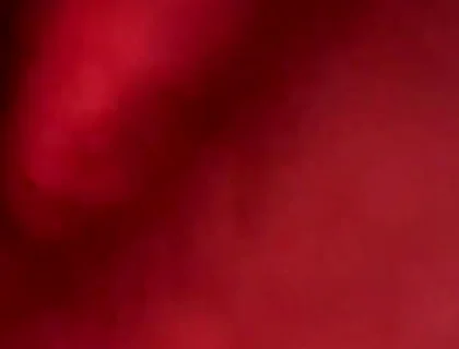 Couple Fuck