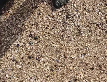 Short Test in the Mudflats on the Beach of Horumersiel