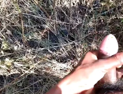 Desi Indian Sex Jungle Fucking Xxx Video