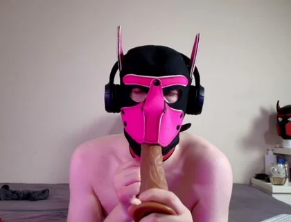 This Could Be Your Cock in Hound's Mouth