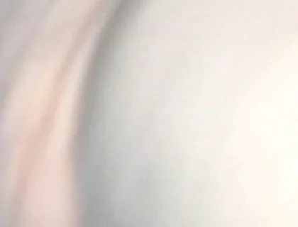 Black Breeders Adventures 04