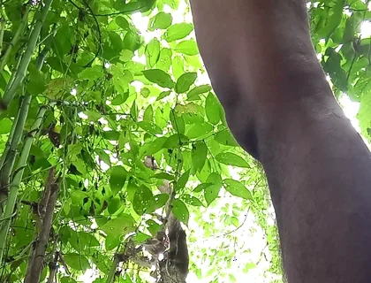 Jungle Masturbate I Need to Go Out for Horny