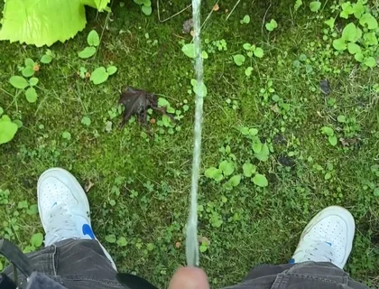 Golden Stream: Peeing in Paradise