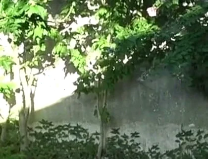 Fucked Raw in Exhib Ublic