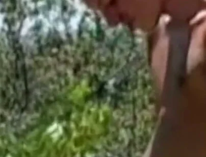 Twinks 20 Yo Fucjign Otdoor in Exhib