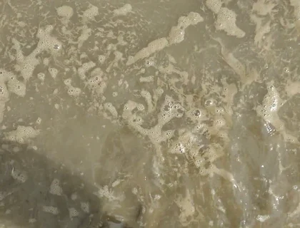 Barefoot in the September North Sea in Wangerland