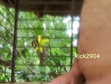 Playing with My Dick