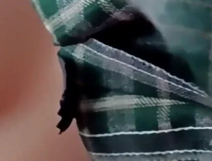 964 Asian Maid Accidentally Penetrated While Studying