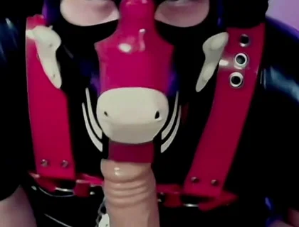 Goodboy Teases Playful Pup