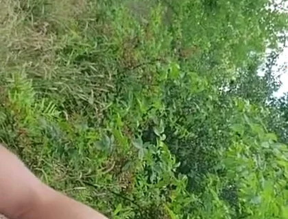 Release in the Park