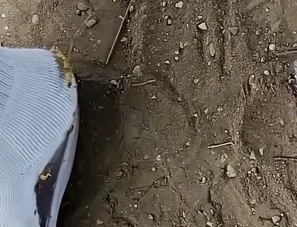Making Socks Dirty in Slides - Used Socks and Slides and Uncut Soft Cock