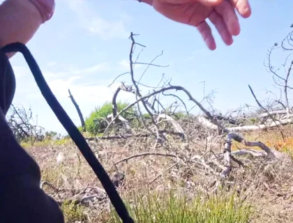Perverted Man Masturbates His Beautiful Dick in a Beach