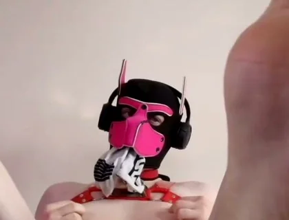 Puppy Paws Right in Your Face. Get the Full on My Fancentro