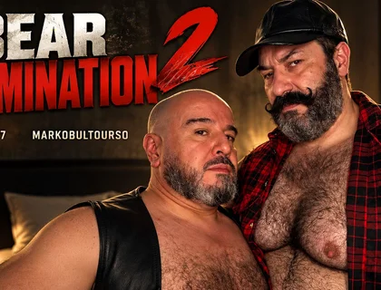 Bear Domination 2