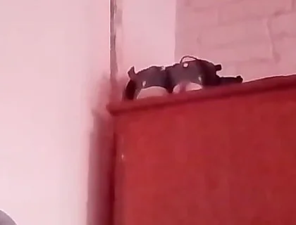Horny