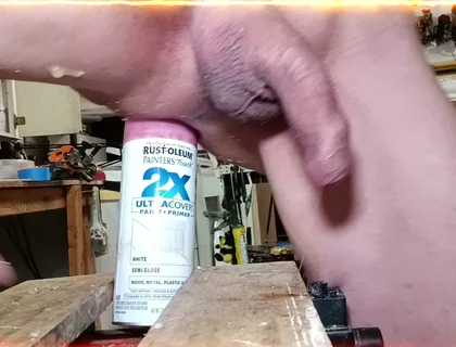 Different Objects Inside the Wolverine