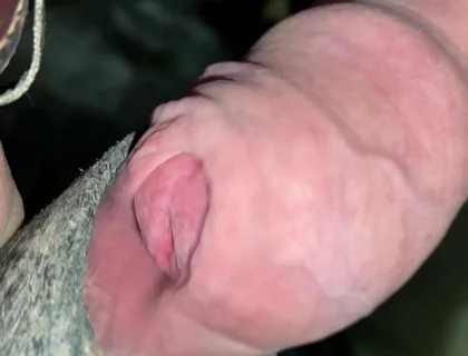 Close up Uncut Handsfree Cumshot After Hose Suction