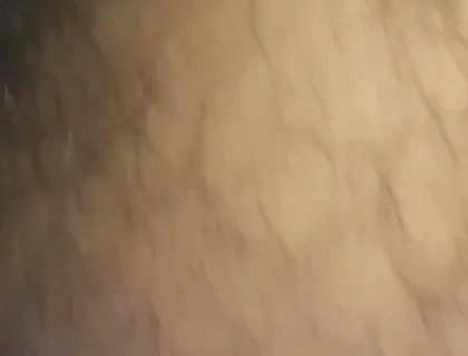 Virgin of the Buttocks