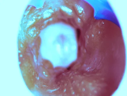 How I Fuck From the Inside! Camera Inside!