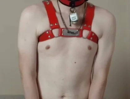 Needy Puppy Fucks His Toy Hard