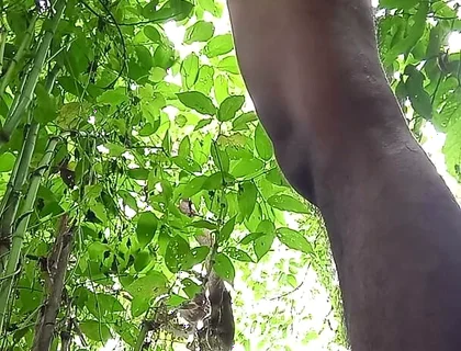 Jungle Masturbate I Need to Go Out for Horny