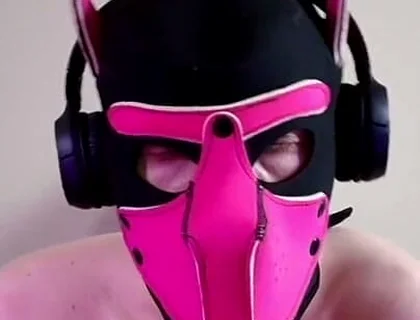 This Could Be Your Cock in Puppy's Mouth