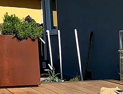 Boy Surprises Stepdaddy Strips and Sucks Him Outdoors