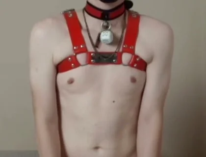 Needy Puppy Fucks His Toy Hard