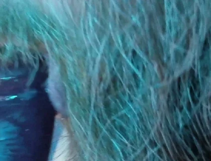 Stepdaddy Learns to Suck Cock