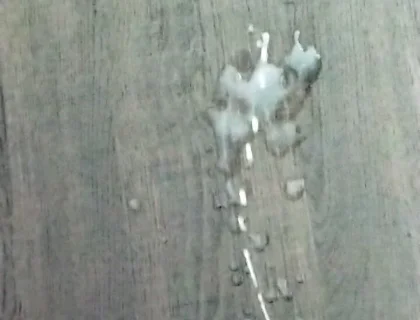 Slo Mo Cumshot