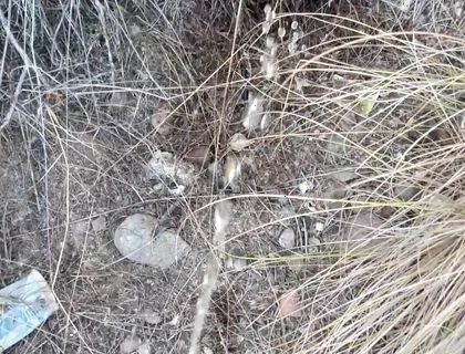 Risky Piss, I Had to Urinate in a Field Behind Some Flats Because My Cock Needed to Pee.