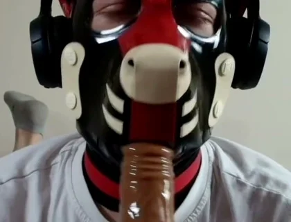 Latex Pet Sucks His Rubber Bone. Watch the Full on My Fancentro
