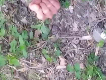 Cock Exposed Through the Pants Fly This Cute Gay Boy Humping Precuming Cumming Cleaning Sperm on His Dick Outdoors Is Jon Arteen