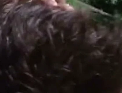 Exhib Sex Witrh Twinks