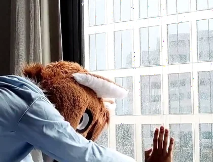 Bareback Femboy Furry Fursuit Fuck in Front of Window
