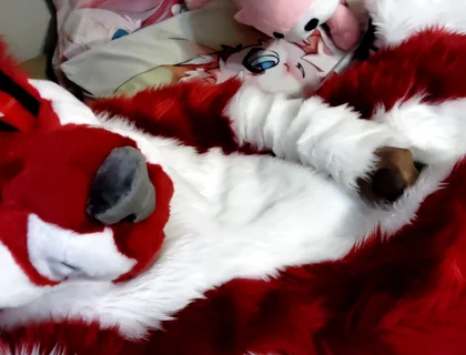 Jerking off and Showing Footpaws in Full-body Fursuit