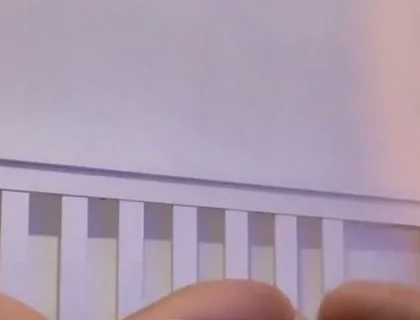 Flip Fuck