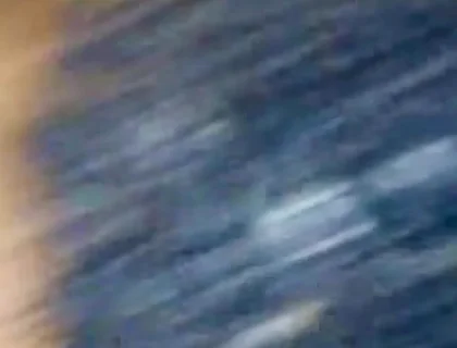 Black Breeders Adventures 175