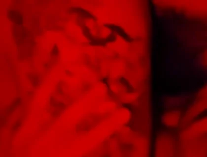 Red Light Make Out