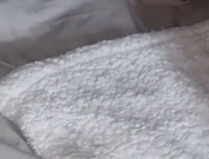 Amateur Horny Couple Take Neighbours 9 Inch Dick