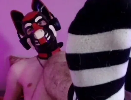 Bare Pup Paws Right in Your Face