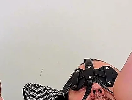 Helpless and Bound: Adonis’s Tickle