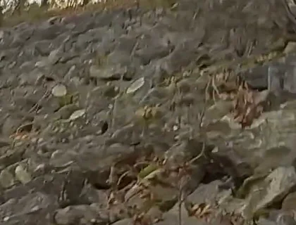 The Cute Guy Jon Arteen Pees Outdoors in This Compilation of His Hottest Peeing Moments