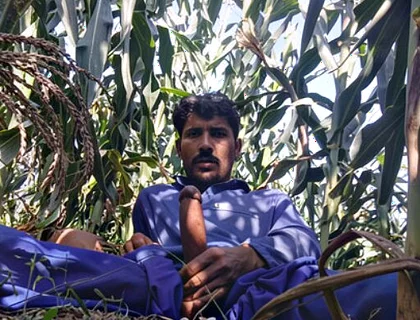 Solo Boy Huge Cock HD