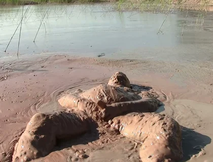 Splish Splosh - What a Mud-jump!