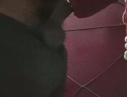 Desi Boy Masturbating