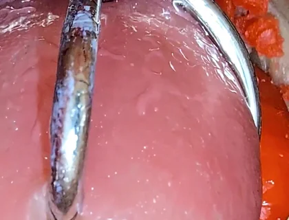 Close up Camera in Pussy: Cum Inside Pussy Twice! Best Creampie in 4K with Girl Moaning!