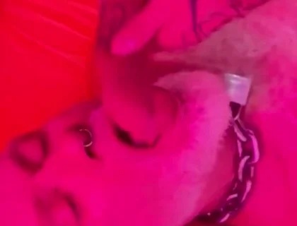 Flip-fuck Wit Animab