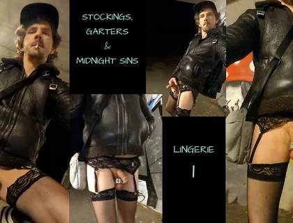 Stockings, Garters and Midnight Sins (lingerie 1)
