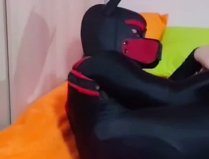 Puppy Gets Playful with Barely Legal Twink Haru